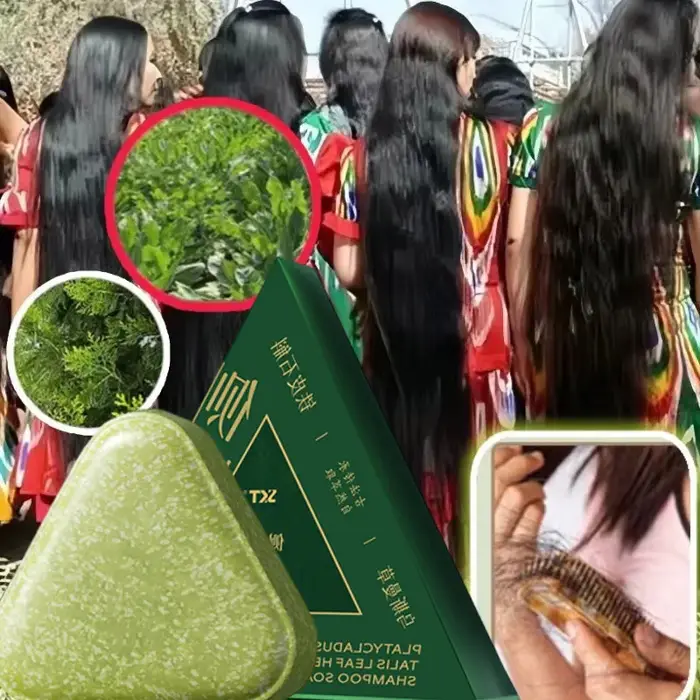 Savon Shampooing Artisanal à l'Herbe Usman et au Platycladus Vert