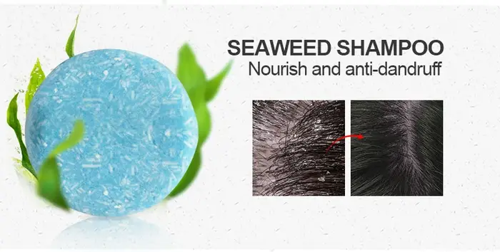 PURC-Shampoing anti-pelliculaire pour cheveux doux, Polygonum, Cold ZERegina, lissage