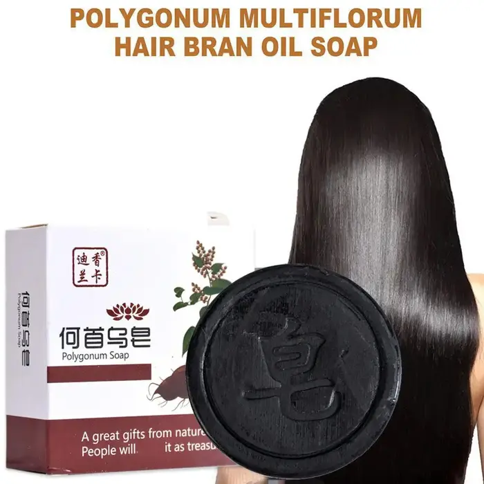 Savon Shampooing Polygonum Multiflorum Soin Capillaire Naturel Traitement Anti-Dommages Contrôle du Sébum Lissant Anti-Pelliculaire Noir Renforce les Racines