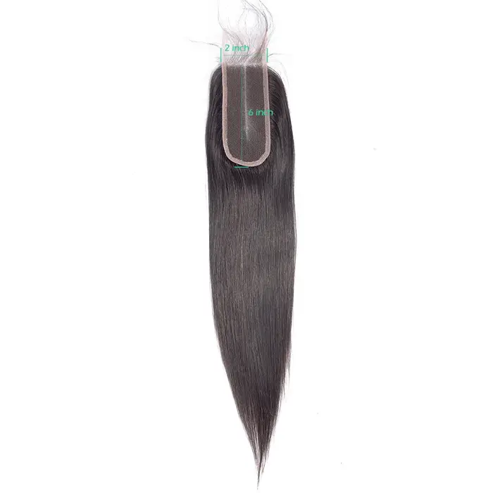 Straight 4x4 5x5 6x6 Mèches Avec Closures Perruque Vietnamienne Haut Qualité Closure Cheveux Humain Transparent Frontal