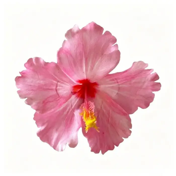 Accessoires pour cheveux : Pince à cheveux fleur d'hibiscus artificielle, style bohème, ne blesse pa