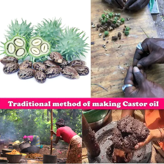 Huile nourrissante traditionnelle d'Afrique de l'Ouest Layden 50 ml – Retient l'humidité