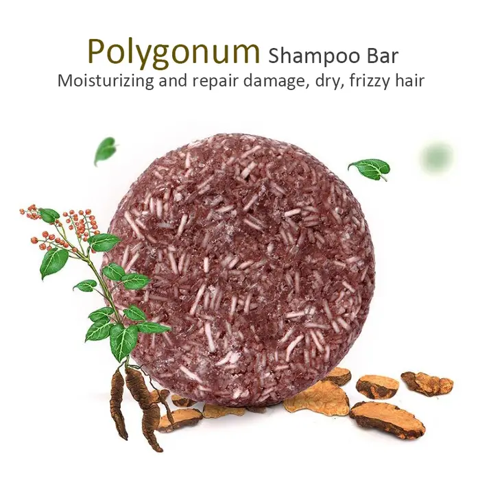 PURC Polygonum Multiflorum shampooing barre savon traité à froid prévenir les cheveux gris lissage femmes hommes voyage