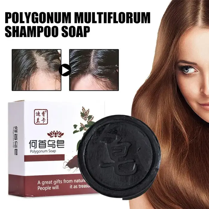 Savon Shampooing Polygonum Multiflorum Soin Capillaire Naturel Traitement Anti-Dommages Contrôle du Sébum Lissant Anti-Pelliculaire Noir Renforce les Racines