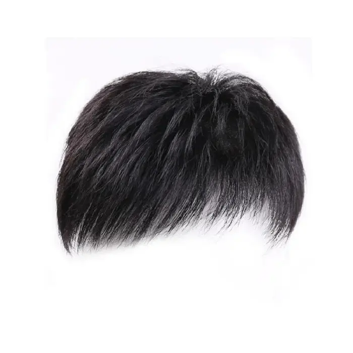 Perruque pour hommes, patch pour cheveux, couverture de calvitie du front, cheveux blancs, fibre syn