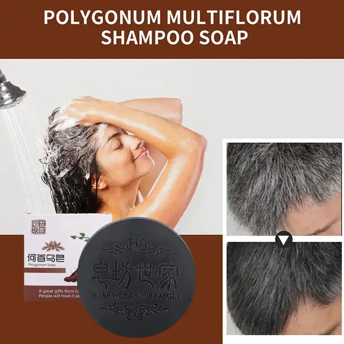 Shampoing et Après-Shampoing Naturel en Polygonum Multithorum de Regina, 100g