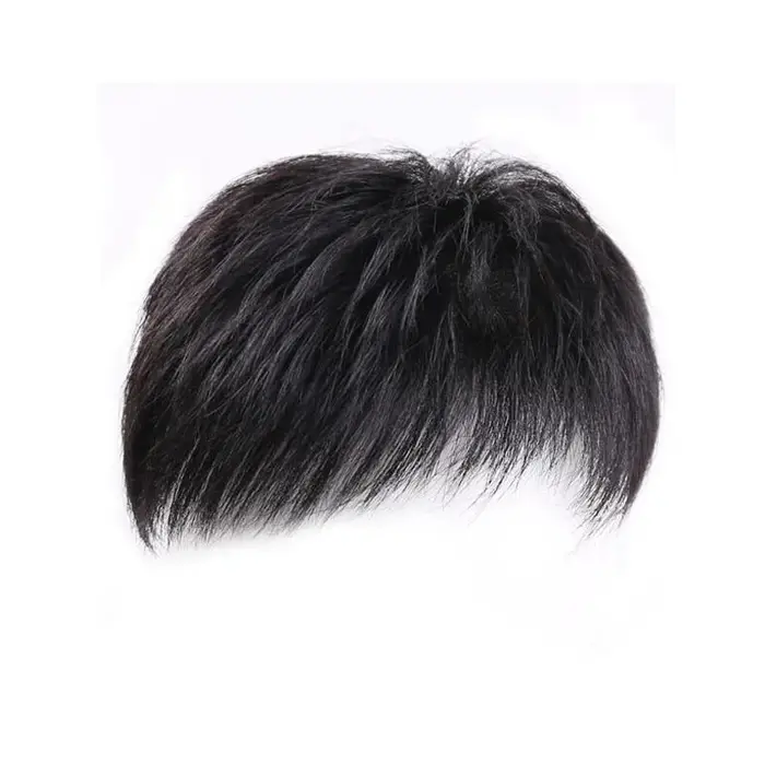 Perruque pour hommes, patch pour cheveux, couverture de calvitie du front, cheveux blancs, fibre syn
