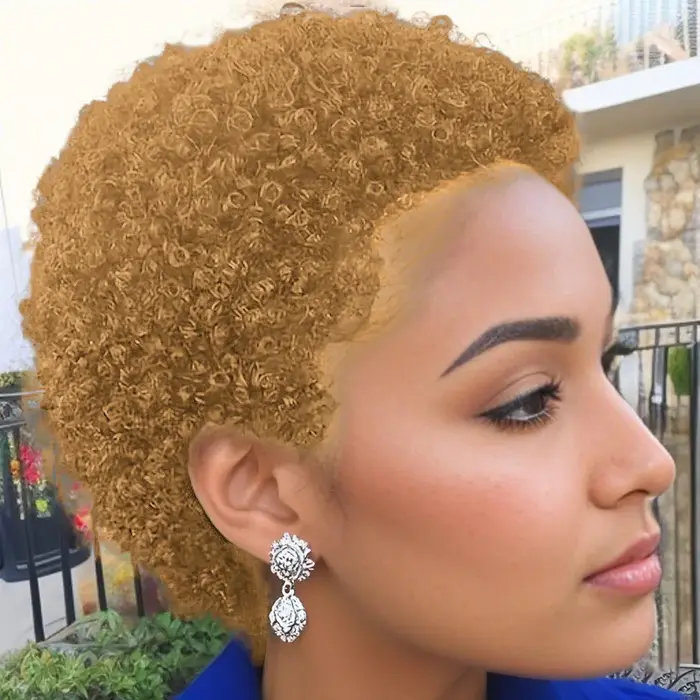Perruque coupe lutin perruque de cheveux humains perruque courte Afro crépus bouclés perruques pour 