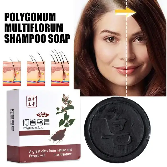 Savon Shampooing Polygonum Multiflorum Soin Capillaire Naturel Traitement Anti-Dommages Contrôle du Sébum Lissant Anti-Pelliculaire Noir Renforce les Racines